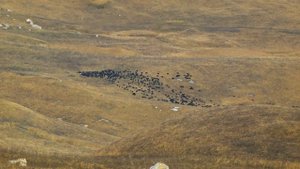 Архыз! Одно из самых красивых мест в России!