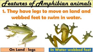 Adaptation In Animals| How animals survive | Class 4 | Science