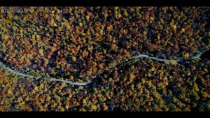 WILD ADYGEA. Дикая природа Адыгеи.