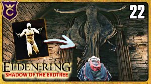 СЕКРЕТНЫЙ ПРОХОД ЗА СТАТУЕЙ 22 ELDEN RING Shadow of the Erdtree