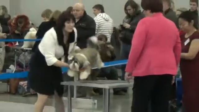 Россия 2013. Класс "Бэби кобели" смотреть онлайн