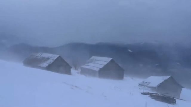 Побег к маме.На стихи Алексея Завьялова,музыка Дима Китанин. смотреть онлайн