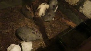 Утро в своем доме