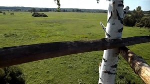 Засидка на Волка, простенькая.