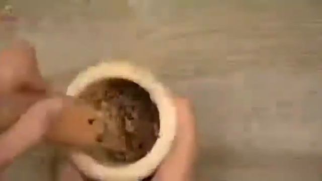 Арбуз,семечки:чем полезны семечки арбуза. смотреть онлайн