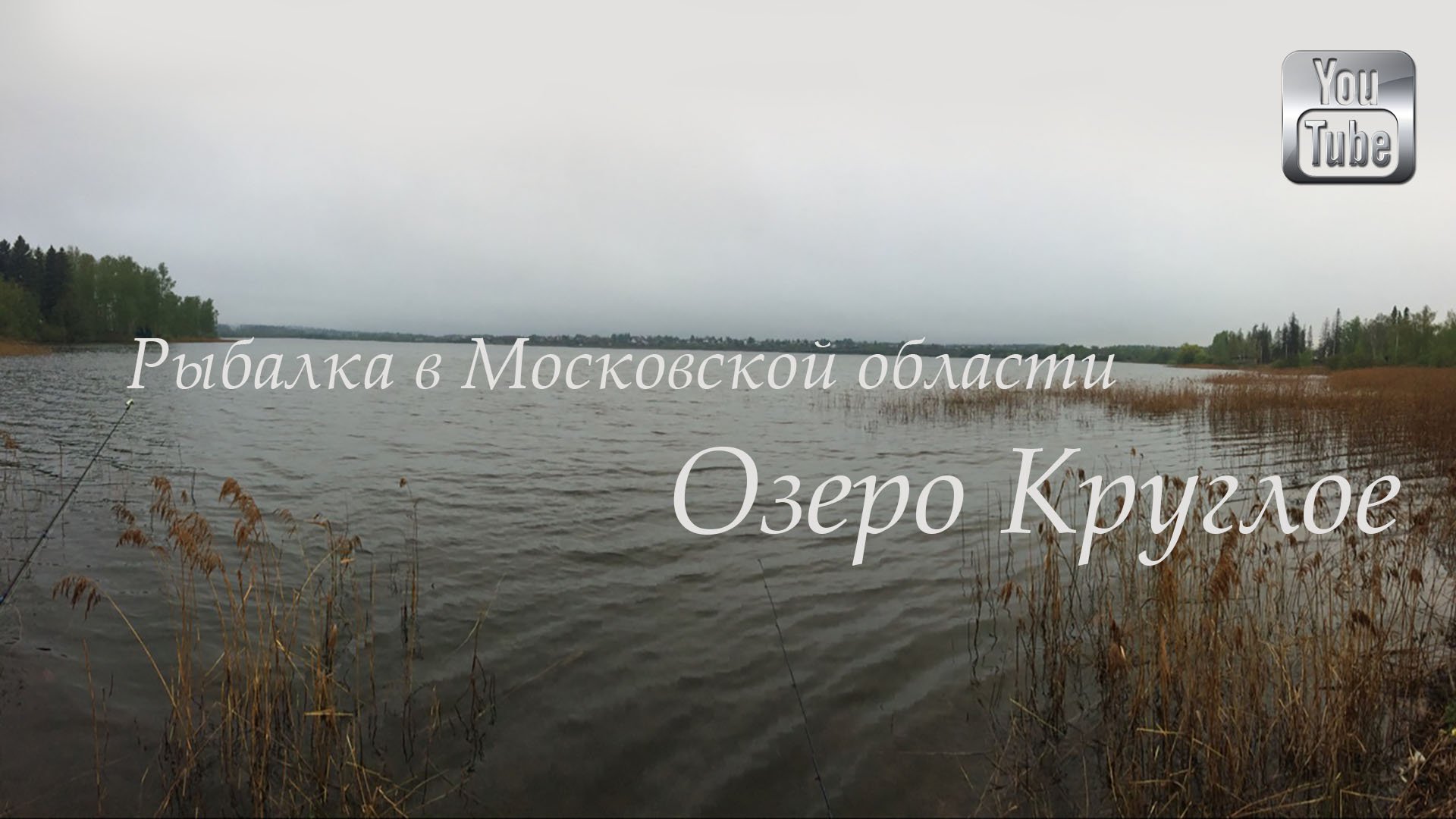 Круглое озеро Химки. Озеро круглое Московская область рыбалка. Рыбалка на круглом озере Лобня. Озеро круглое Лобня база отдыха.