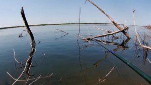 ловля крупного карася в корягах на поплавок рыбалка на Волге 2021