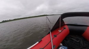 Рыбалка на Мологе от Противье до Весьегонска (6 августа 2019 г.