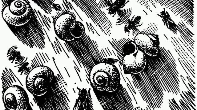 Чем питаются насекомые / Мариковский П.И. Ничто НЕ подвластно их челюстям и желудкам! Аудиокнига