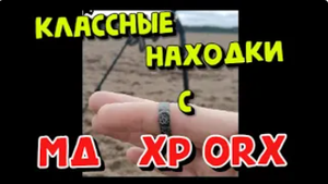 Поиск с металлоискателем XP ORX на Урочище. КОП осень