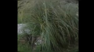 Историк моды АЛЕКСАНДР ВАСИЛЬЕВ ВПЕРВЫЕ ПОКАЗАЛ СВОИ ШИКАРНЫЕ АПАРТАМЕНТЫ В ТУРЦИИ!