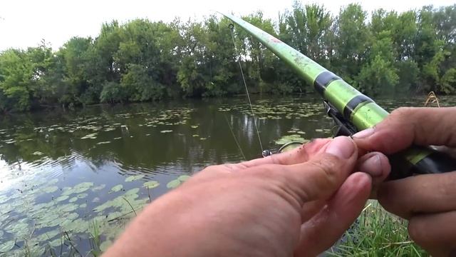 Караси лапти и крупная плотва - рыбалка на поплавок в кувшинках