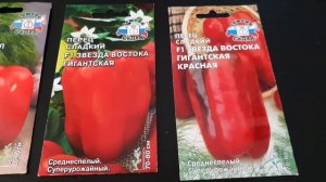 Перцы ГИГАНТЫ! Урожайные  сорта сладкого перца на 2022 г.