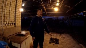 Как быстро растет золотая рыбка?