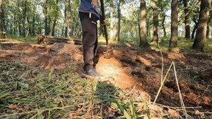 делаем дерт.