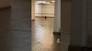 Секретная станция метро Троице-Лыково.