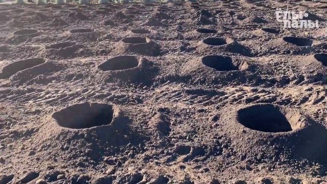 Поле номер 12. Перешколка 10 октября 2022 год. смотреть онлайн