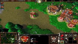 Warcraft 3. Обзор фракции "Красная Орда"