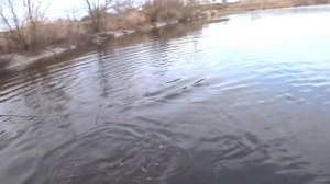 МИЛЛИОН КАРАСЯ !!! Рыбалка Кастинговой Сетью