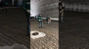 Армирование и заливка промышленных полов