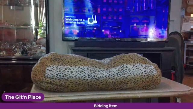 Monday night live смотреть онлайн