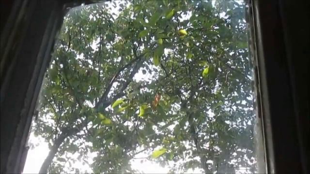 Анна Синельникова-Изразцы веры(муз.сопровождение гр.ПШ)-"стихи" смотреть онлайн