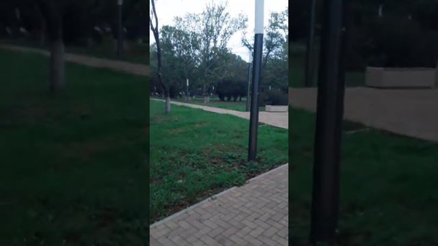 Прогулка с собакой (1 часть) 😝 смотреть онлайн