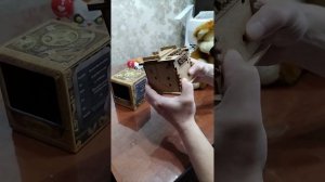 Решение головоломки Кот Шрёдингера