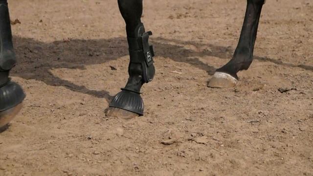 КСК Татерсаль, Донецк 2019 смотреть онлайн