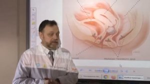 Укрепление мышц органов малого таза