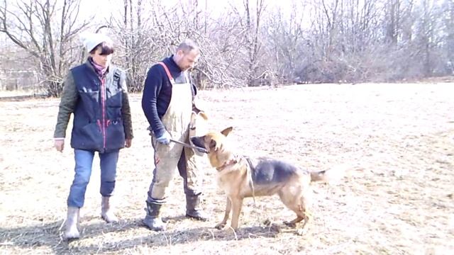 Желя . тренинг 28,03,18 смотреть онлайн