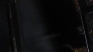 Работа котла на сырых опилках