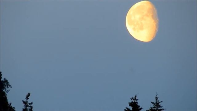 Долька апельсина смотреть онлайн