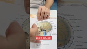 Если у вас болит голова... Рекомендации доктора Родиона.