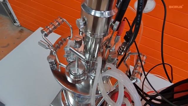 BIORUS 5L лабораторный