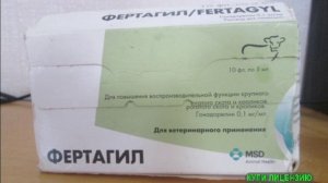 Фертагил.mp4