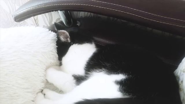 Ошо Созерцай свои сны смотреть онлайн