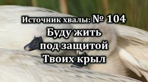 Буду жить под защитой Твоих крыл | Источник хвалы № 104 | Караоке плюс | Христианские песни