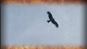 Иллюстрированная история Российского Государства 13 серия (документальный сериал, 2003)