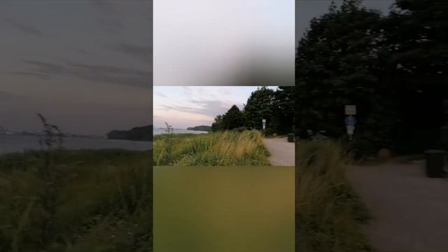 Природа у Балтийского моря. смотреть онлайн