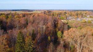 Костёл Святой Стефании и руины скотного двора в бывшей усадьбе Витгенштейнов, посёлок Дружноселье.