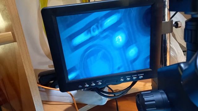 Volkswagen Touran 1.9tdi.Датчик положения руля и вентиляторы охлаждения двигателя. смотреть онлайн