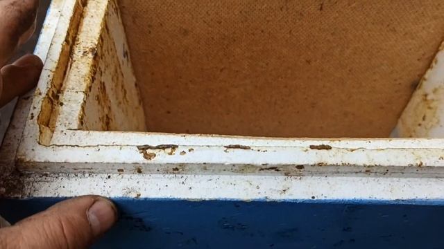 Обзор нуклеуса Мини + Часть 1 смотреть онлайн