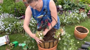 Is It TOO MUCH? Dramatic Hanging Basket 🌸🌸🌸 || Hanging Basket Ideas || Spring Garden || Zone 8a