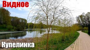 Видное Купелинка Пуговичинский пруд Май 2022