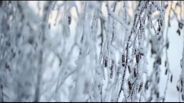Зимние пейзажи.