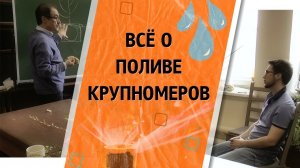 КАК ПРАВИЛЬНО ПОЛИВАТЬ ДЕРЕВЬЯ_ Рекомендации МГУ - эпизод #1