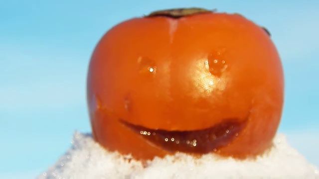 С ДНЁМ РОЖДЕНЬЯ СОНЯ от Хурмы смотреть онлайн