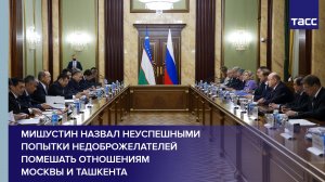 Мишустин назвал неуспешными попытки недоброжелателей помешать отношениям Москвы и Ташкента