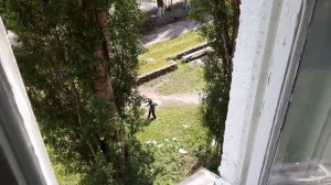 ЧТО БУДЕТ ЕСЛИ УСЛЫШАТЬ ЗВУК ГАЗОНОКОСИЛКИ В 5 УТРА ПОД ОКНОМ?